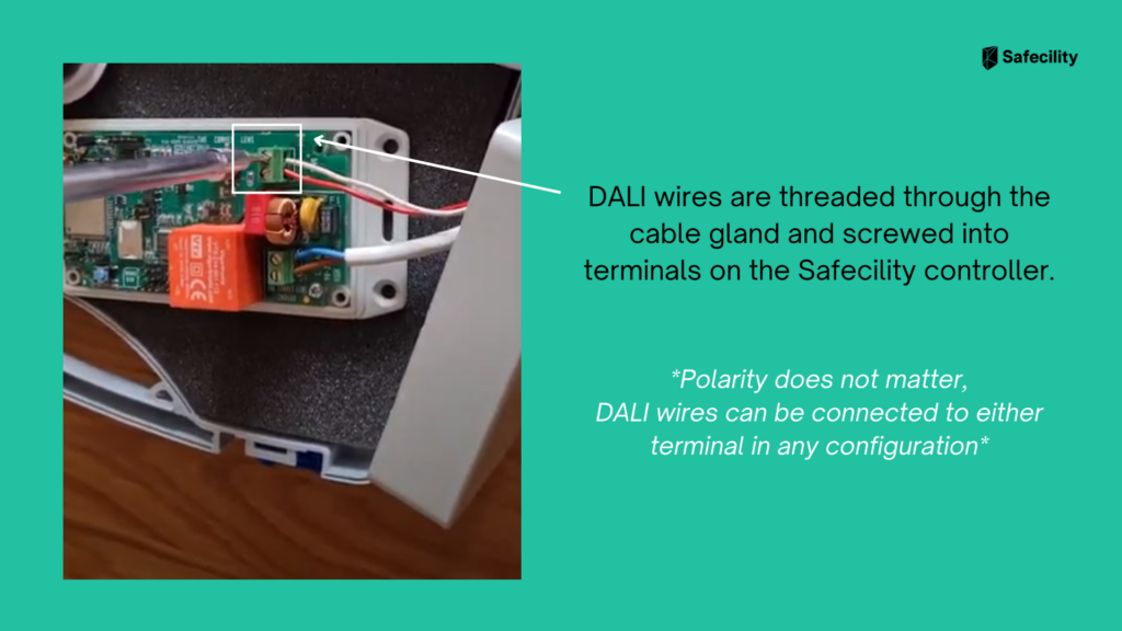 How to wire Safecility Controller for DALI 1